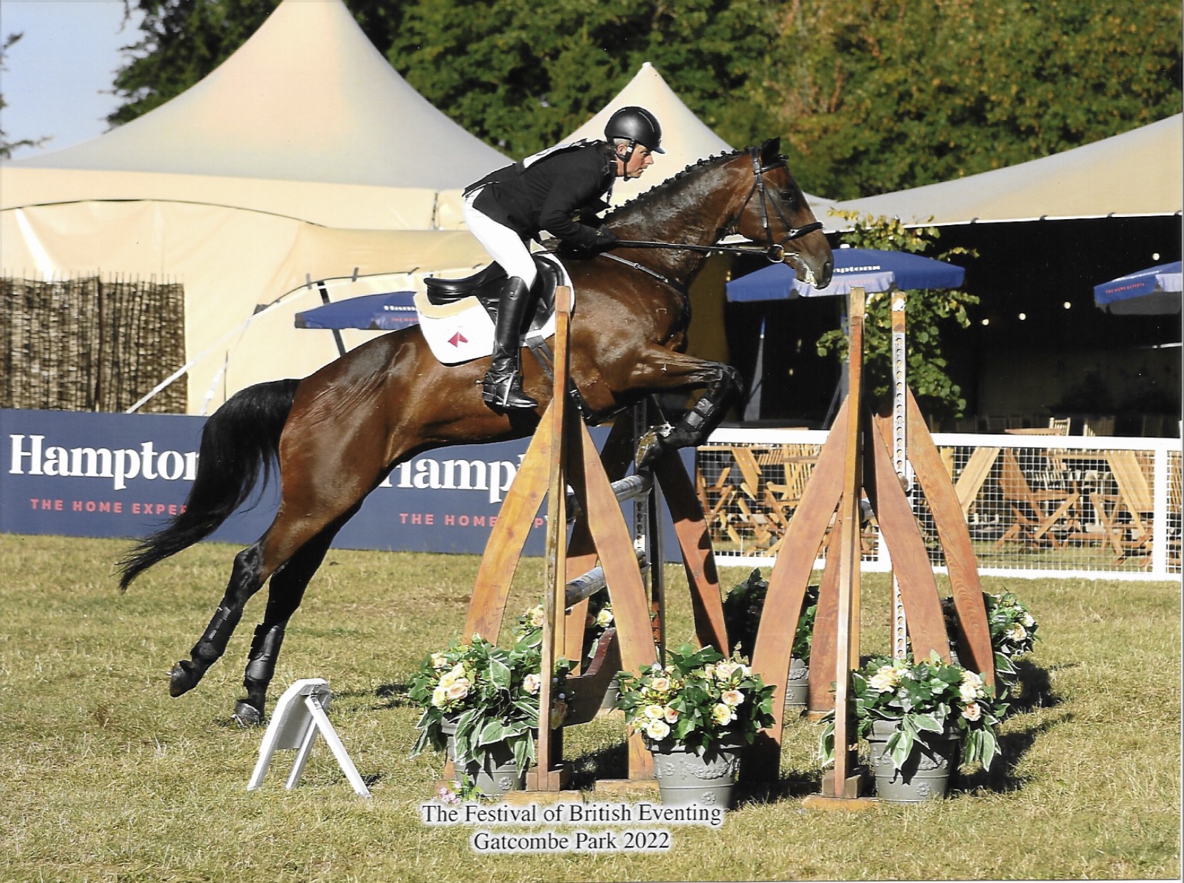 Full livery and Training Vacancies